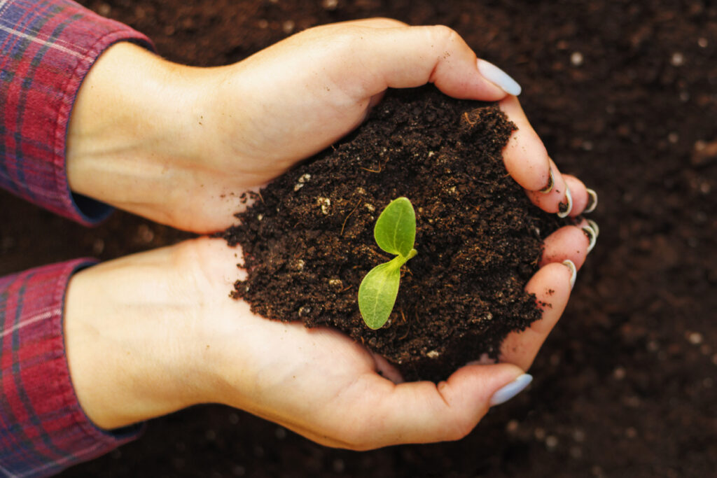 Sélectionner ses propres variétés de légumes pour devenir autonome en semences maraîchères [F42203] avec le collectif Devenir Paysanne Paysan