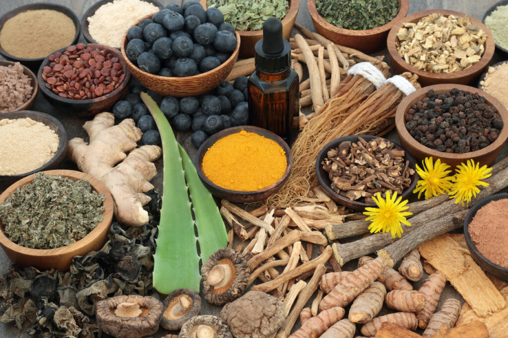 Transformer des plantes aromatiques, à parfum et médicinales [F26206] avec le collectif Devenir Paysanne Paysan